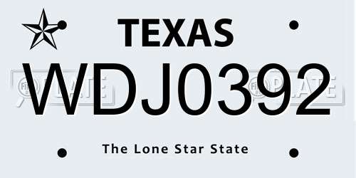 WDJ0392 Texas License Plate