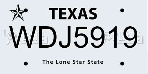 WDJ5919 Texas License Plate