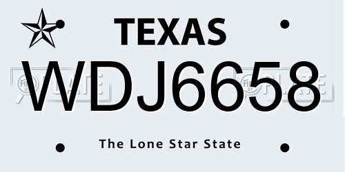 WDJ6658 Texas License Plate