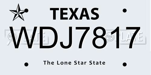 WDJ7817 Texas License Plate