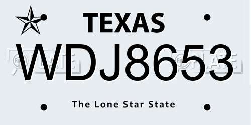 WDJ8653 Texas License Plate