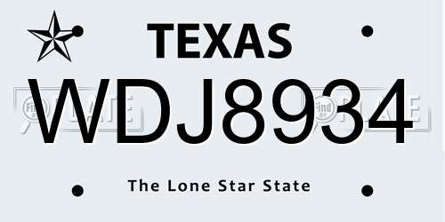 WDJ8934 Texas License Plate