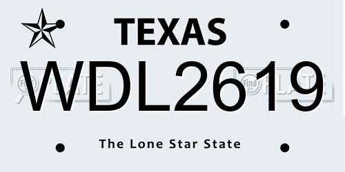 WDL2619 Texas License Plate