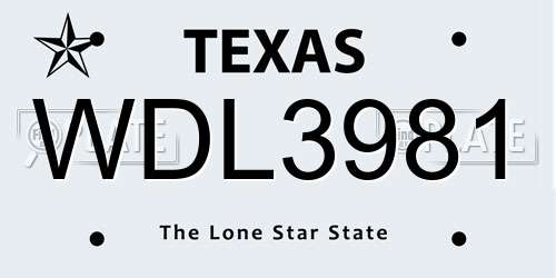 WDL3981 Texas License Plate