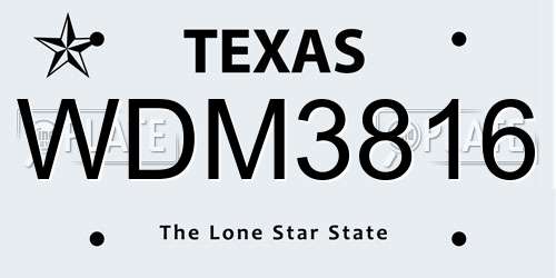 WDM3816 Texas License Plate