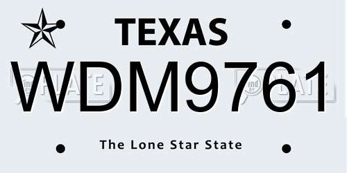 WDM9761 Texas License Plate