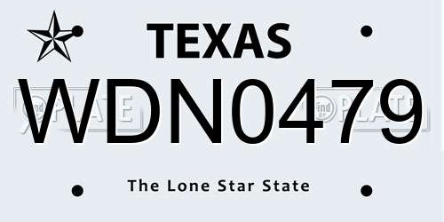 WDN0479 Texas License Plate