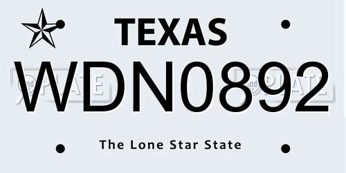 WDN0892 Texas License Plate