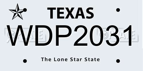 WDP2031 Texas License Plate