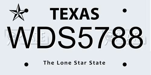 WDS5788 Texas License Plate