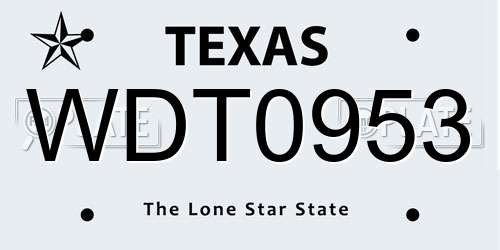 WDT0953 Texas License Plate