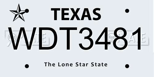 WDT3481 Texas License Plate