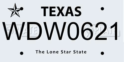 WDW0621 Texas License Plate