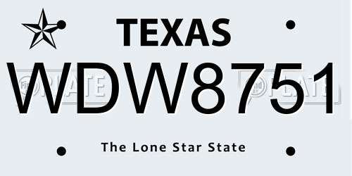 WDW8751 Texas License Plate