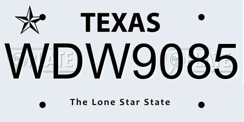 WDW9085 Texas License Plate