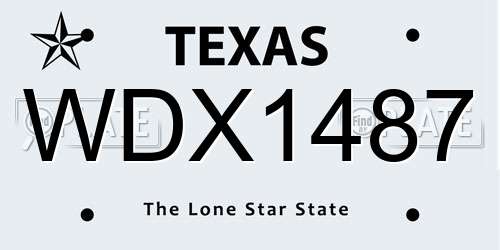 WDX1487 Texas License Plate