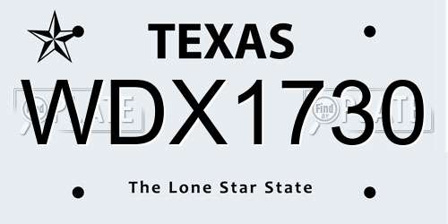 WDX1730 Texas License Plate