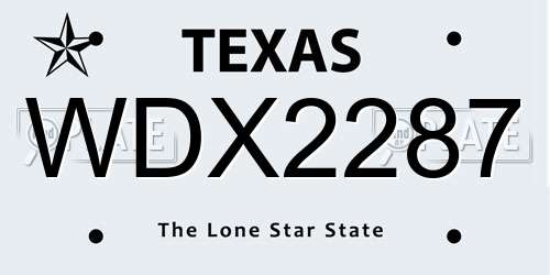 WDX2287 Texas License Plate