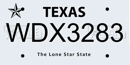 WDX3283 Texas License Plate