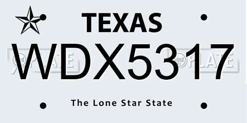 WDX5317 Texas License Plate