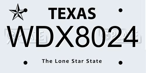 WDX8024 Texas License Plate
