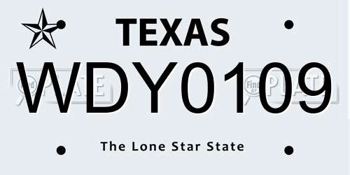WDY0109 Texas License Plate