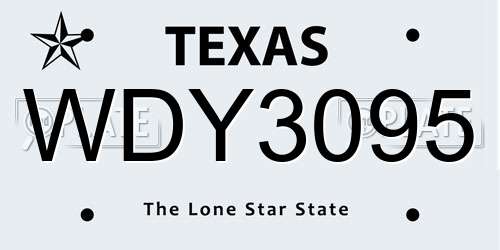 WDY3095 Texas License Plate