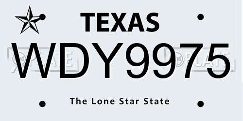 WDY9975 Texas License Plate
