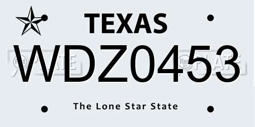 WDZ0453 Texas License Plate