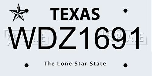 WDZ1691 Texas License Plate