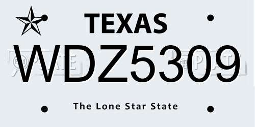 WDZ5309 Texas License Plate