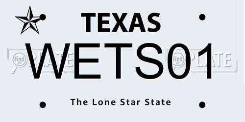 WETS01 Texas License Plate
