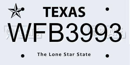 WFB3993 Texas License Plate