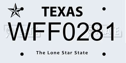 WFF0281 Texas License Plate