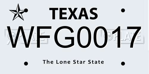 WFG0017 Texas License Plate