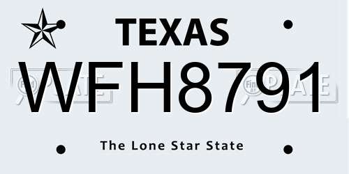 WFH8791 Texas License Plate