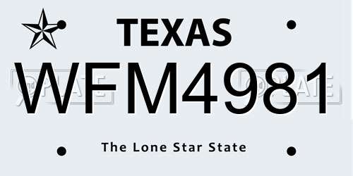 WFM4981 Texas License Plate