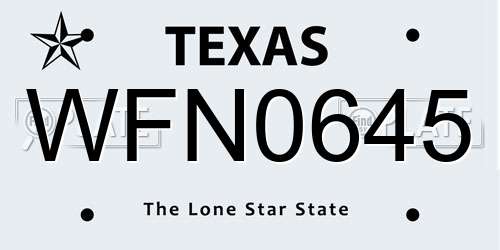 WFN0645 Texas License Plate