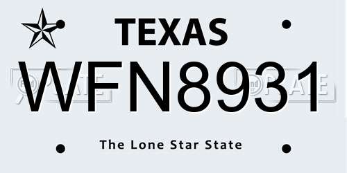 WFN8931 Texas License Plate