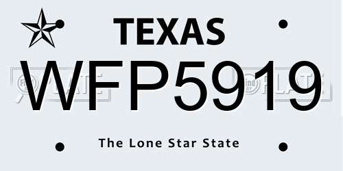 WFP5919 Texas License Plate