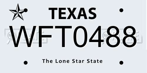 WFT0488 Texas License Plate