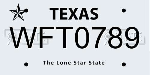 WFT0789 Texas License Plate