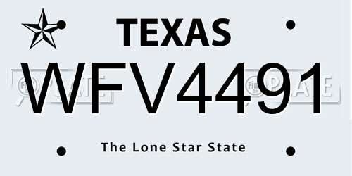 WFV4491 Texas License Plate
