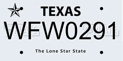 WFW0291 Texas License Plate