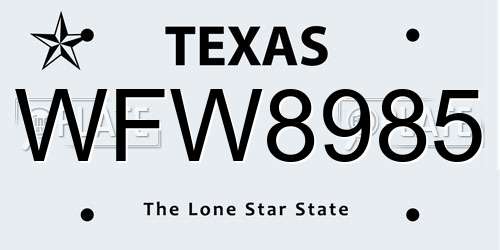 WFW8985 Texas License Plate