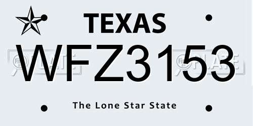 WFZ3153 Texas License Plate