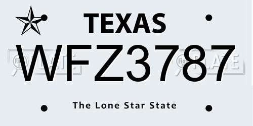 WFZ3787 Texas License Plate