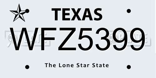 WFZ5399 Texas License Plate