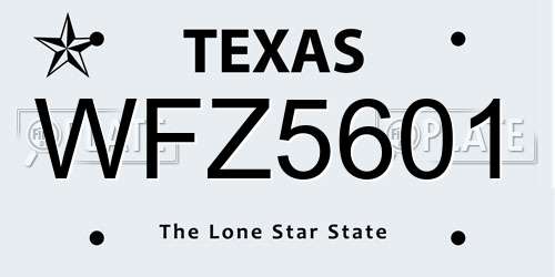 WFZ5601 Texas License Plate