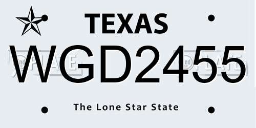 WGD2455 Texas License Plate